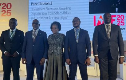 Ogun Showcases Investment Prospects at AfCFTA Forum in Algiers