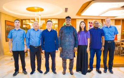 Chinese Firm Set to Establish Power Generation Plant, Industrial Park in Ogun