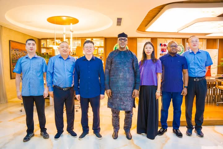 Chinese Firm Set to Establish Power Generation Plant, Industrial Park in Ogun